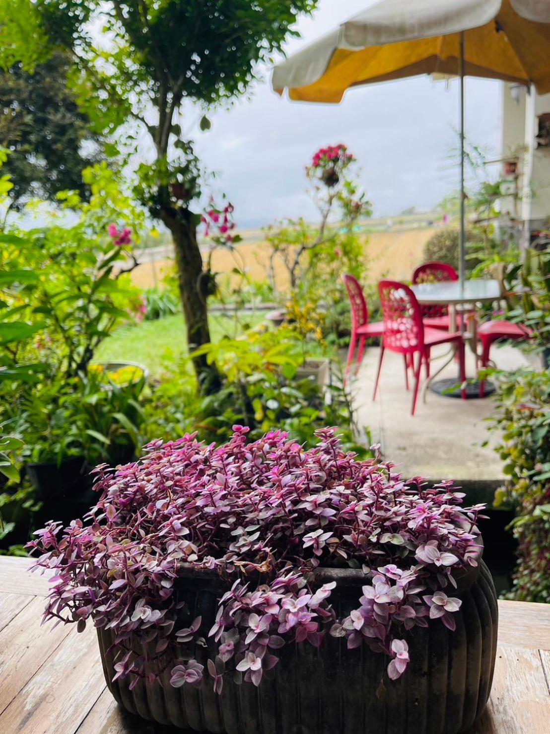 Xian Qing Yu Zhi Homestay Chishang Dış mekan fotoğraf